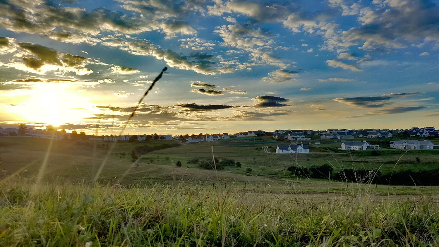 Sunset over the green fields and homes of Garlington Estate