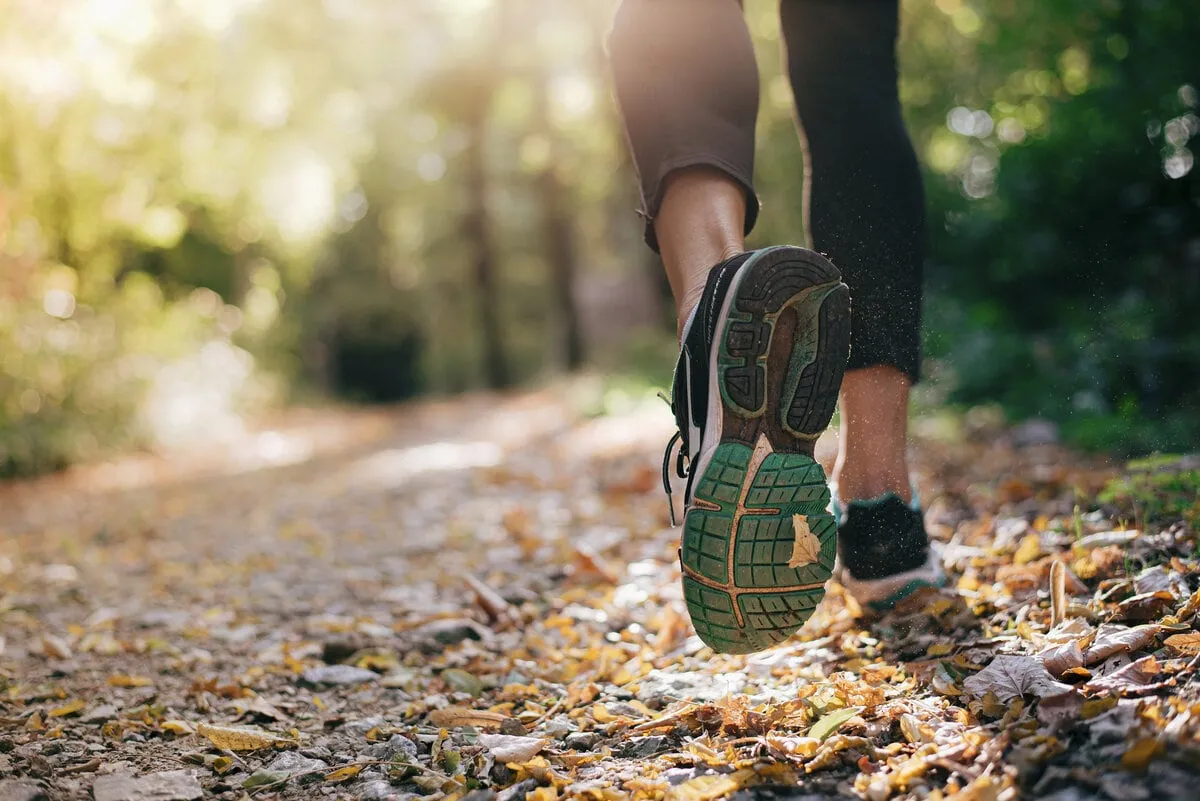 Close-up of a trail runner's shoes on a leaf-strewn forest path in golden light